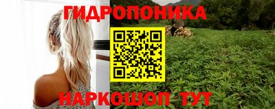 ПСИЛОЦИБИНОВЫЕ ГРИБЫ Ирбит