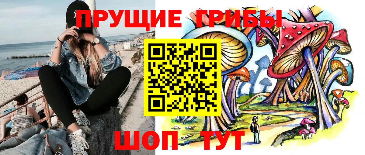 хочу наркоту  Вход с VPN  Люберцы  Галлюциногенные грибы GOLDEN TEACHER 