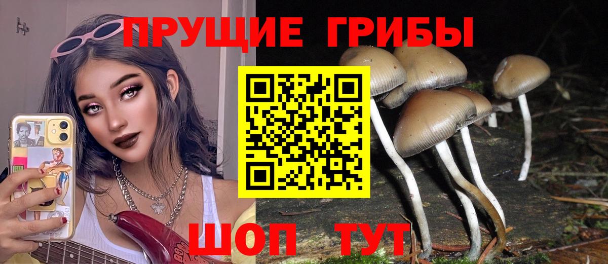 Галлюциногенные грибы MAGIC MUSHROOMS Люберцы